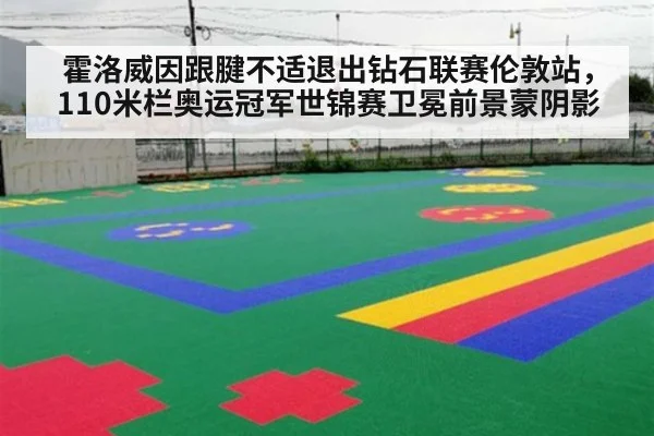 霍洛威因跟腱不适退出钻石联赛伦敦站，110米栏奥运冠军世锦赛卫冕前景蒙阴影